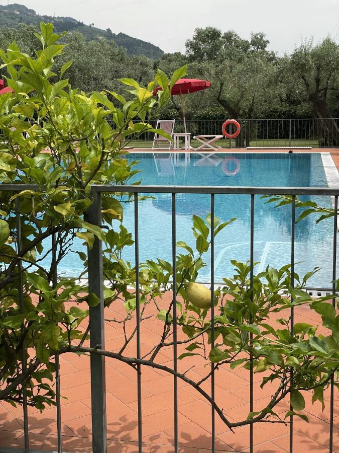 In Versilia Seravezza Luaran gambar